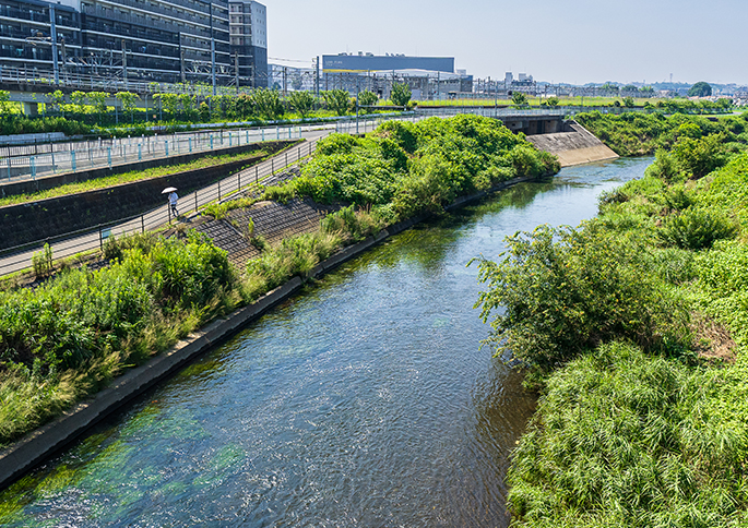 鶴見川