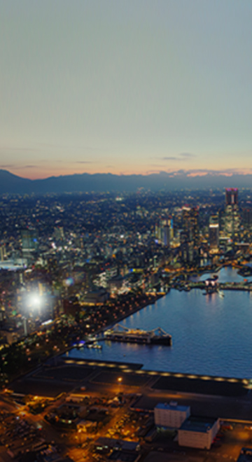 リンク背景画像：現地周辺航空写真