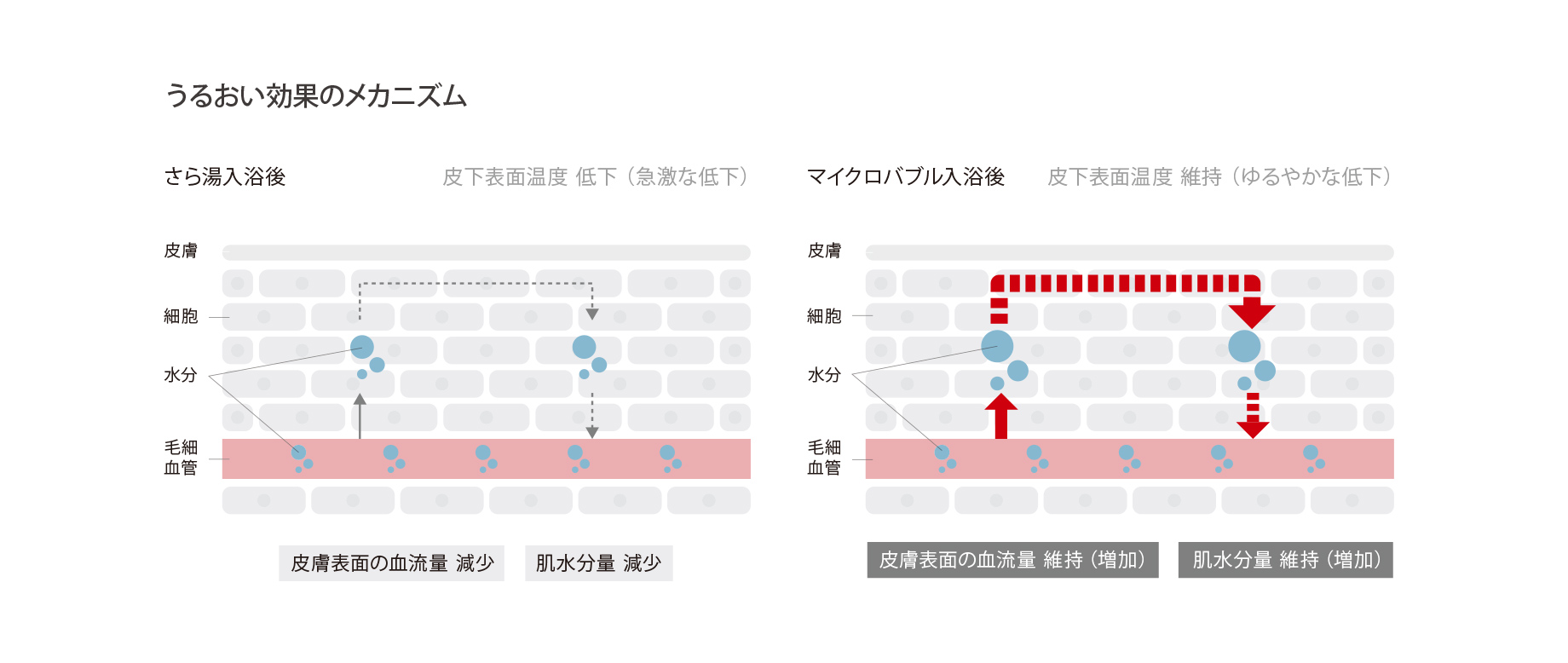 うるおい効果のメカニズム