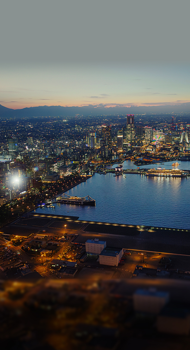 現地周辺航空写真