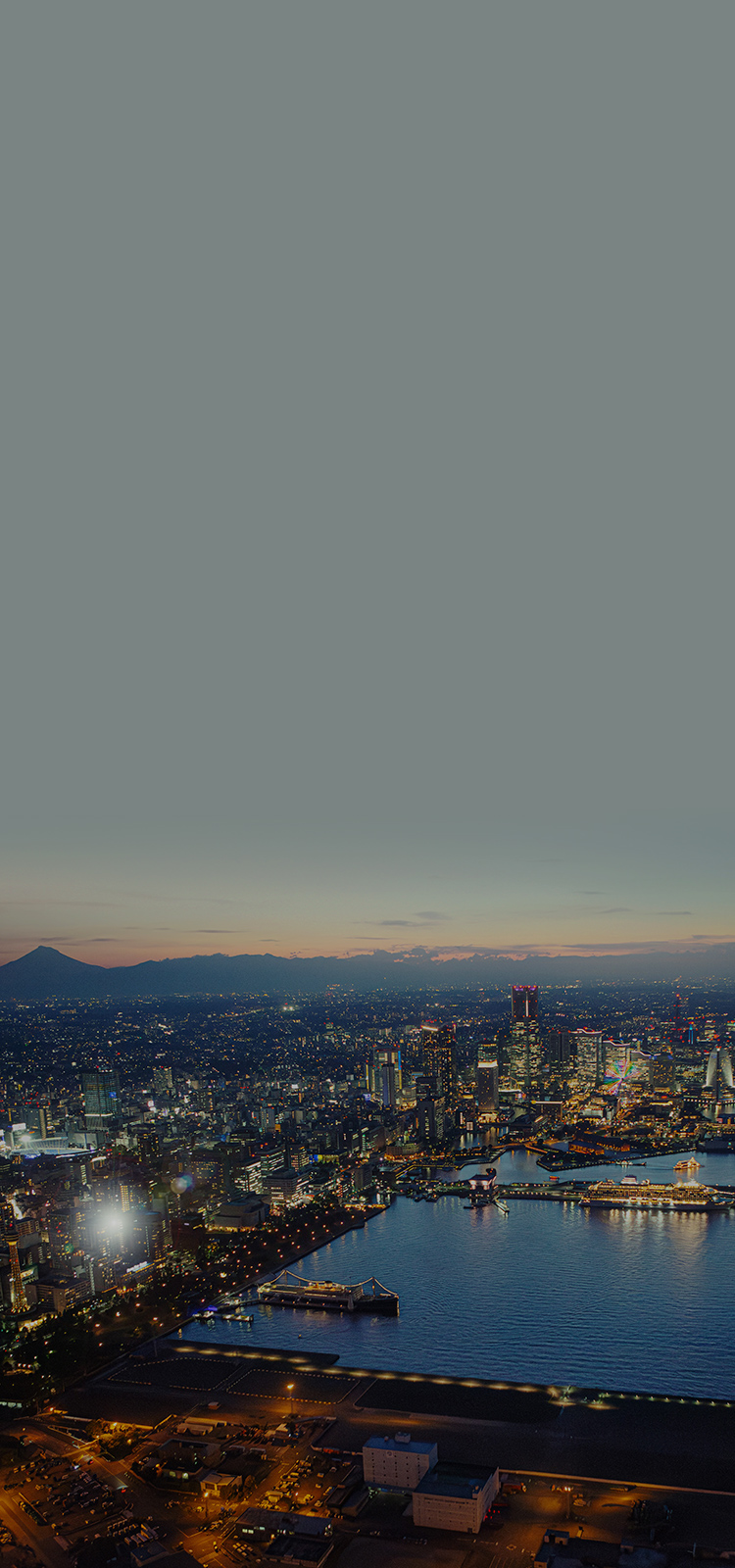 現地周辺航空写真