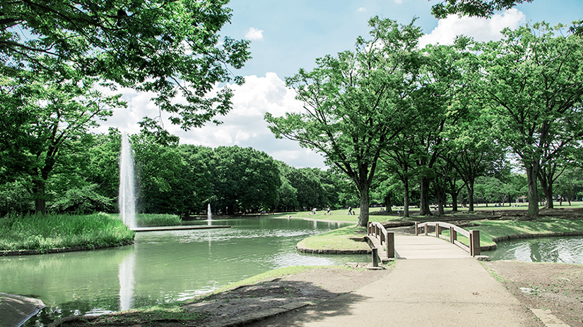 代々木公園