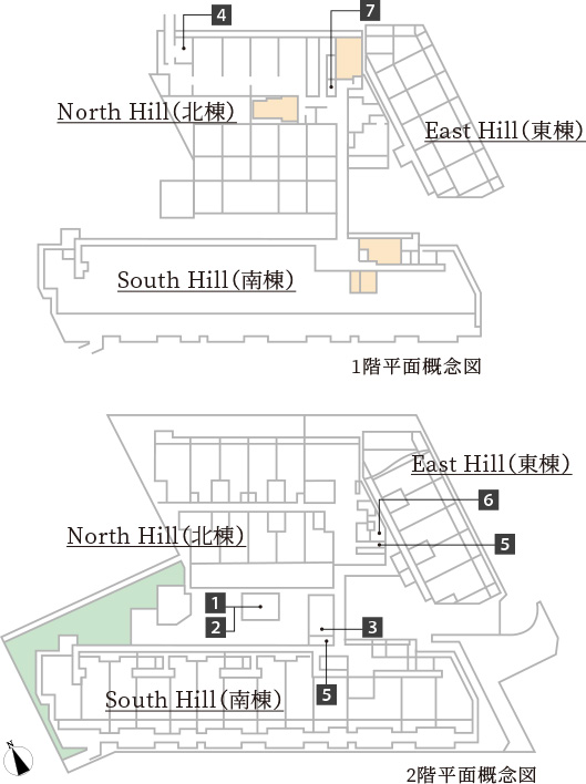 image photo