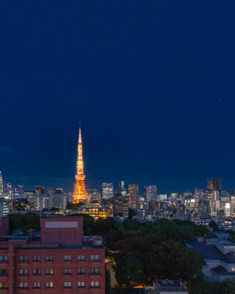 上層階から望む東京タワービュー