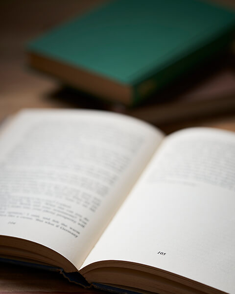 文京区アドレスの文教地区に立地