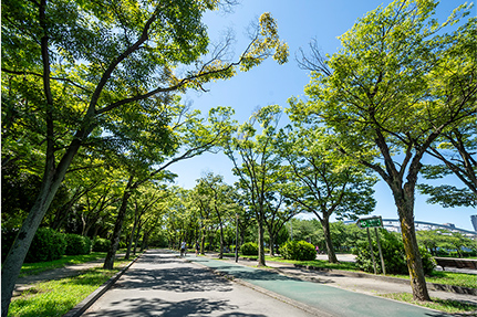毛馬桜之宮公園