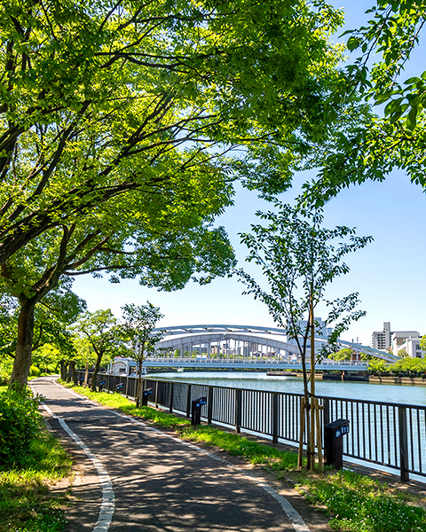 毛馬桜之宮公園 徒歩5分 340ｍ