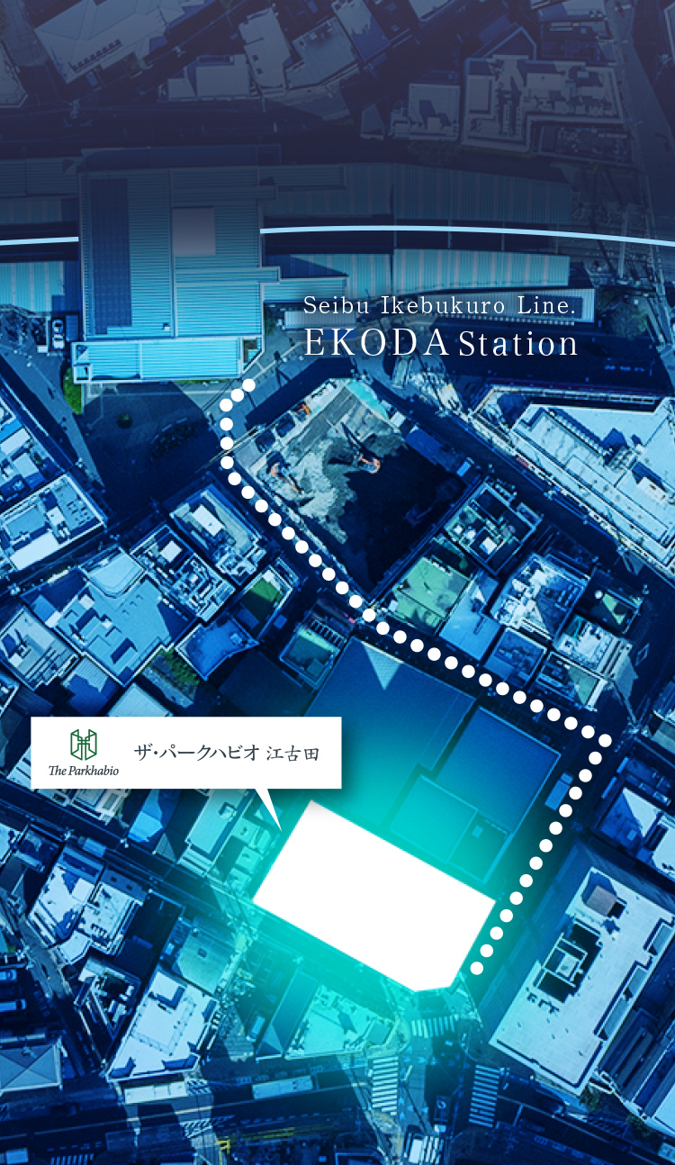 現地周辺航空写真