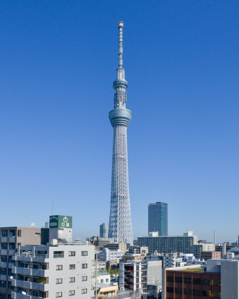 スカイツリーを望む眺望