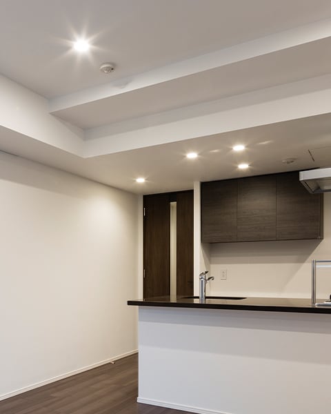 ダウンライト標準装備