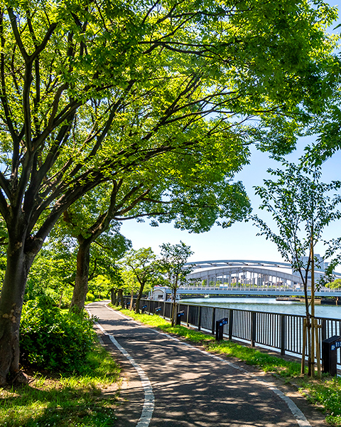 毛馬桜之宮公園