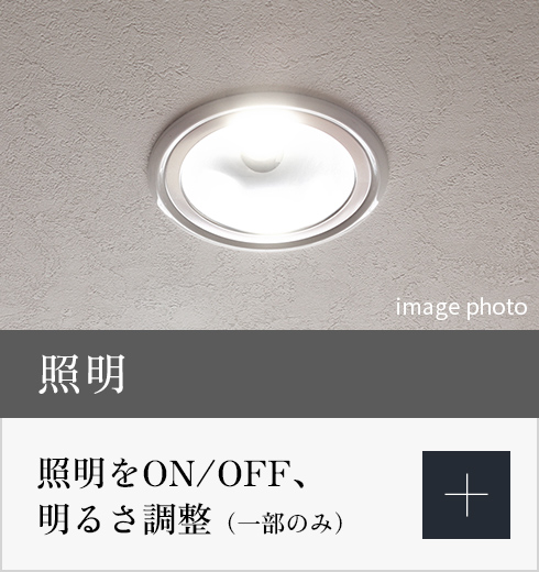 照明の詳細を表示