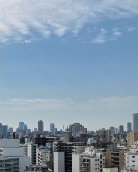 上層階から広がる眺望