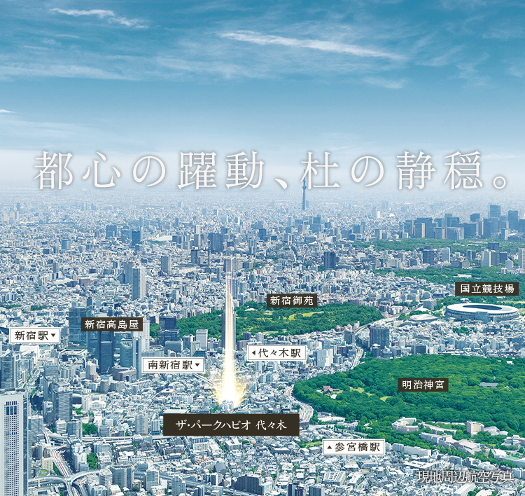 現地周辺航空写真