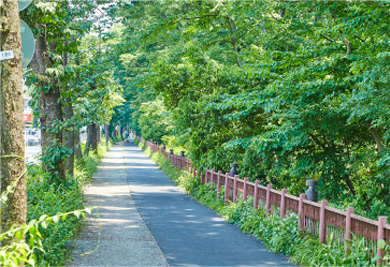 多摩川上水道