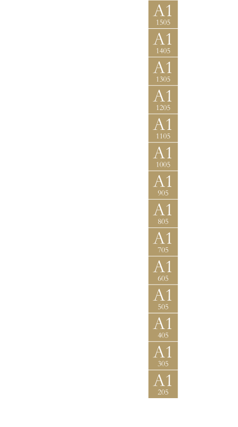 A1タイプの位置を表した立面図