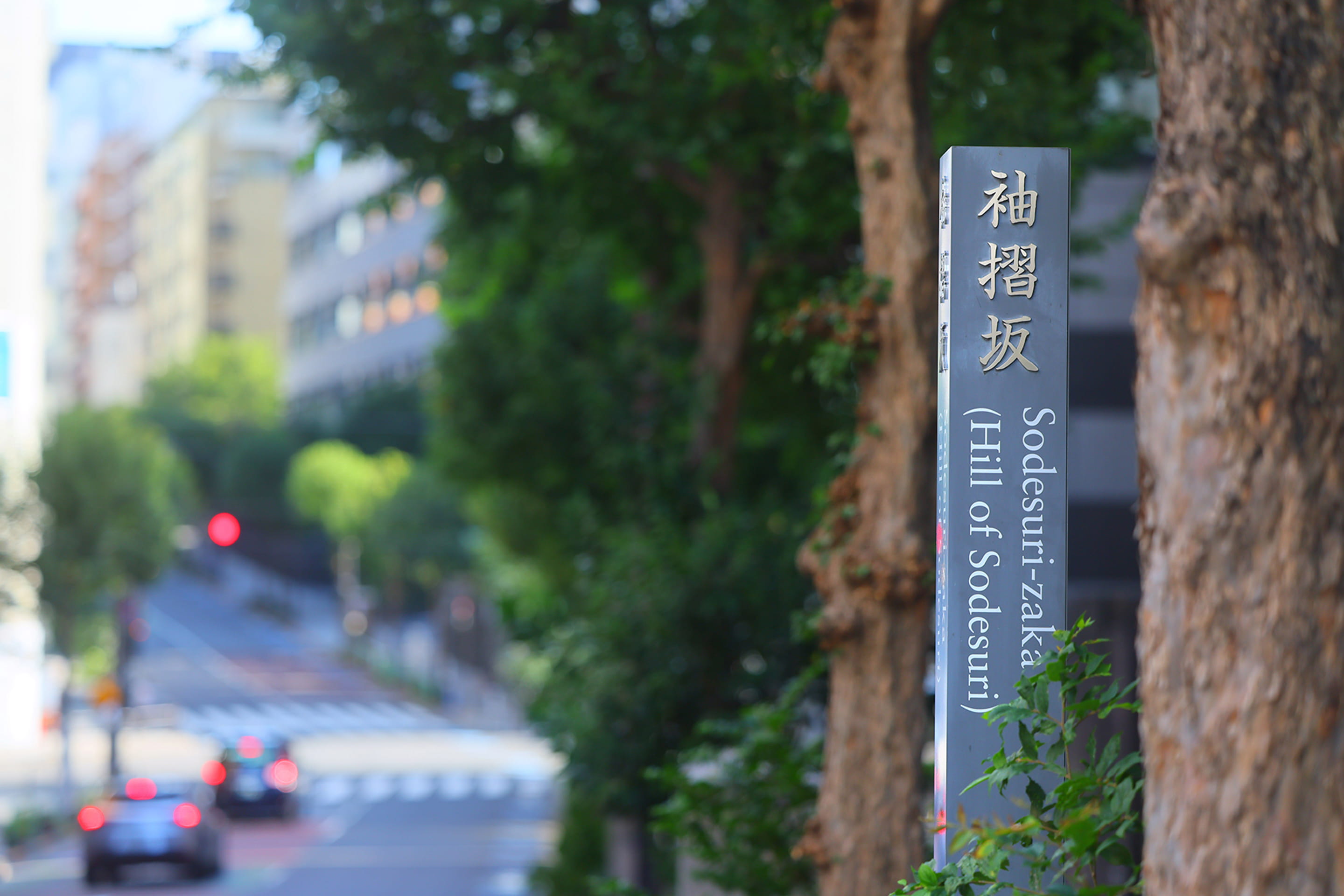 袖摺坂／徒歩7分・約530m