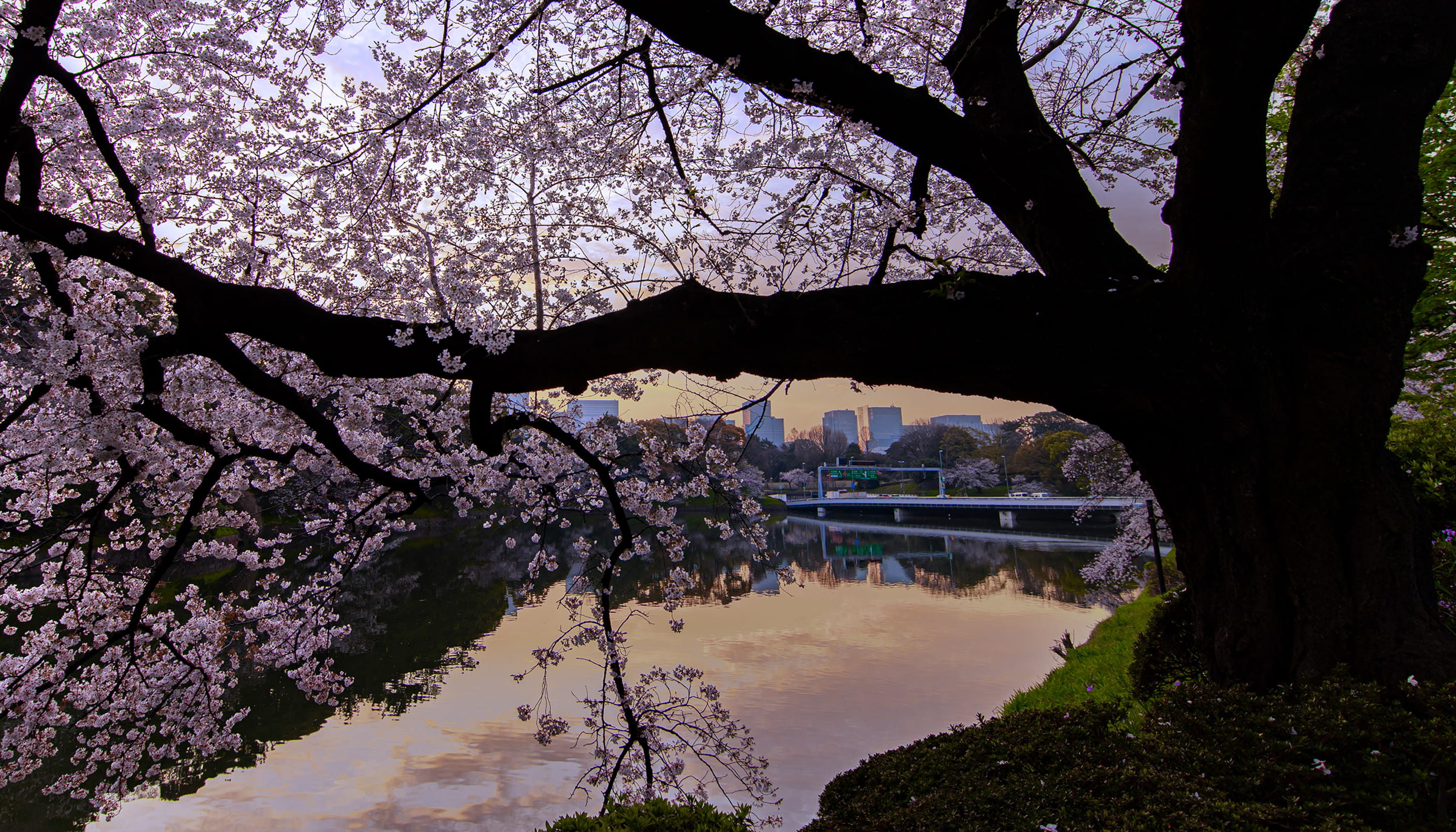 千鳥ヶ淵／徒歩6分・約440m