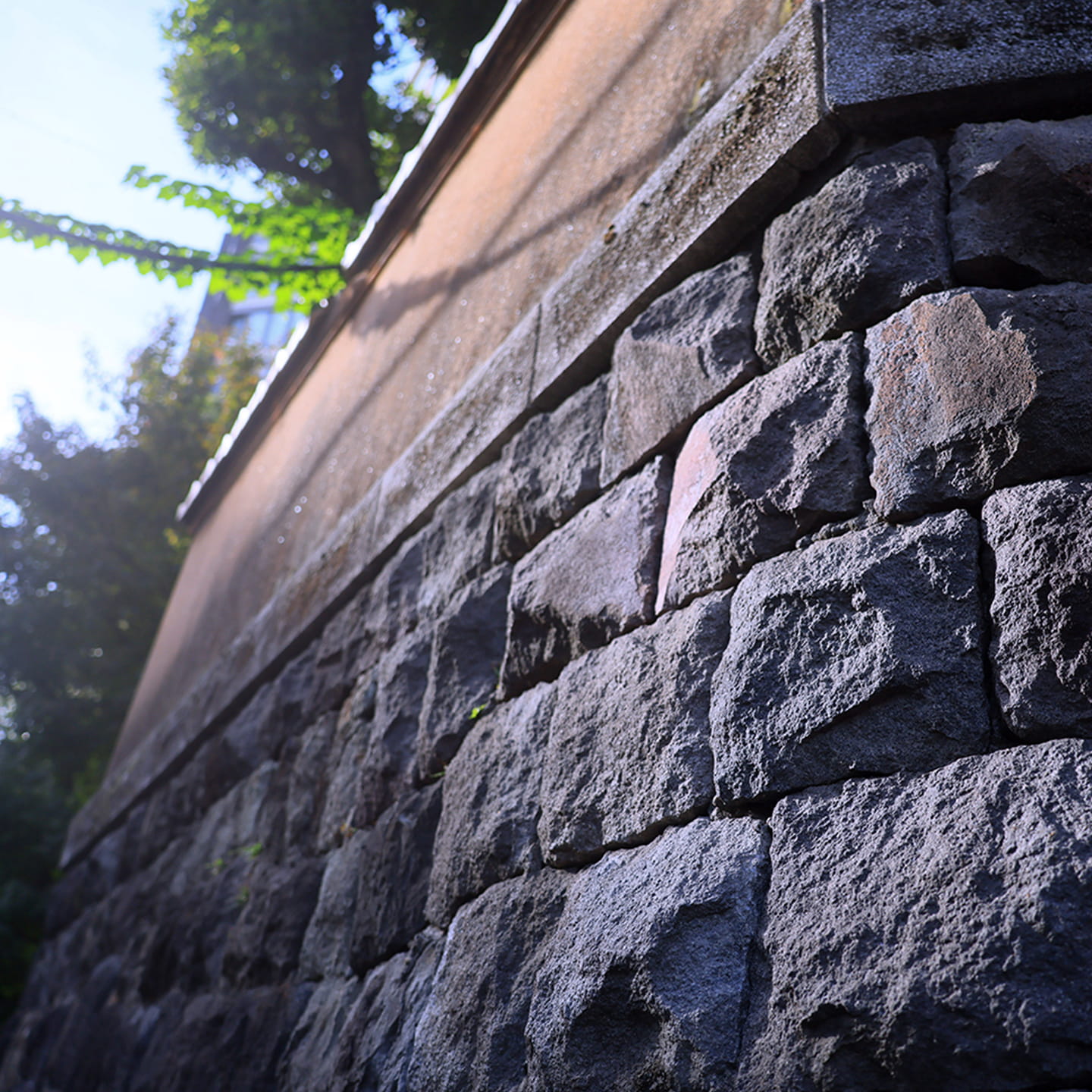 番町中央通り／徒歩9分・約700m