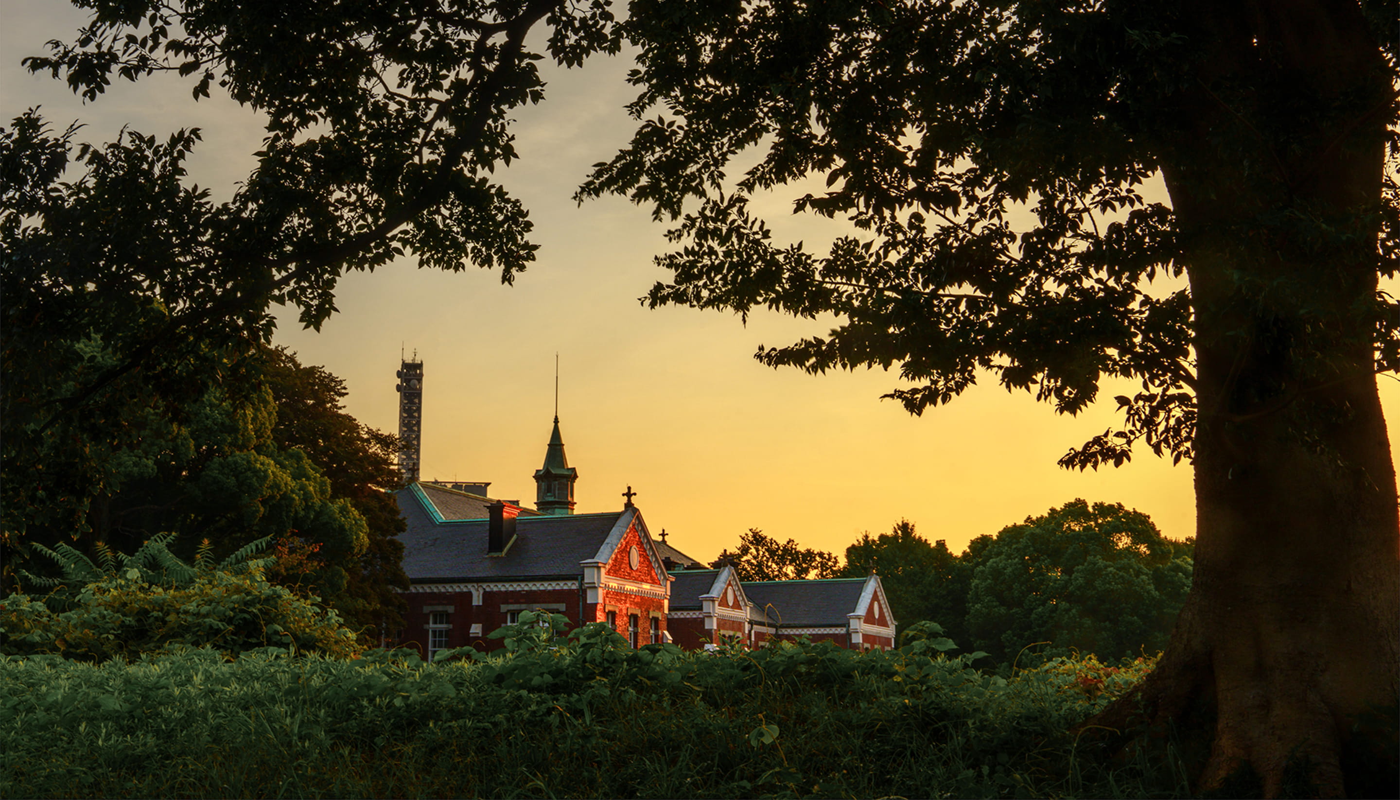 代官町通り／徒歩7分・約520m