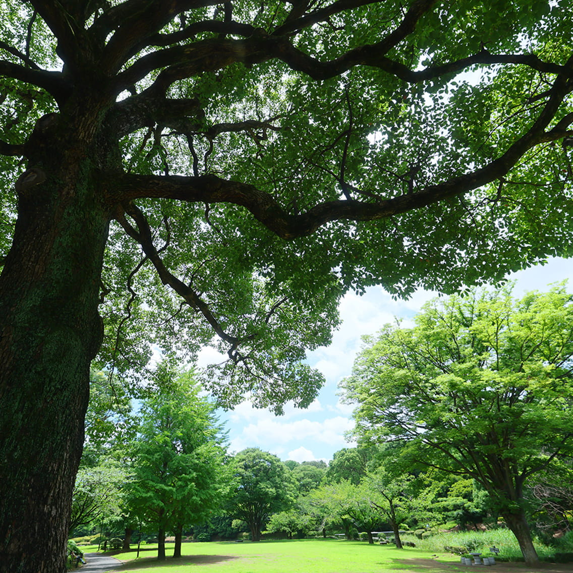 北の丸公園／徒歩8分・約630m