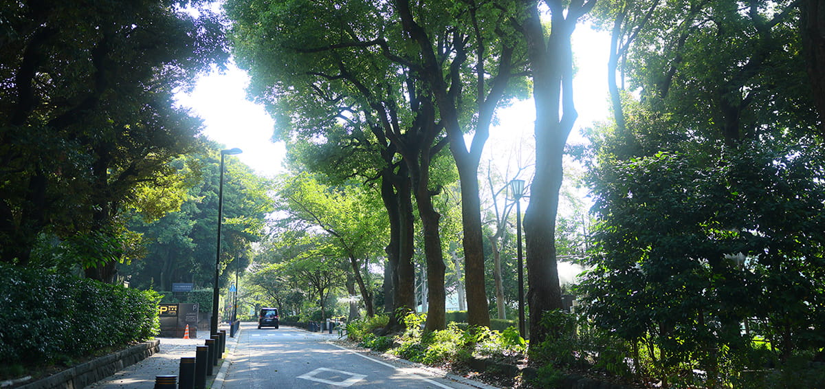 千鳥ヶ淵緑道／徒歩6分・約440m