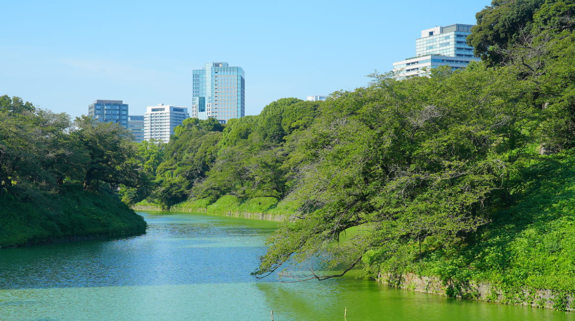 千鳥ヶ淵／徒歩6分・約440m