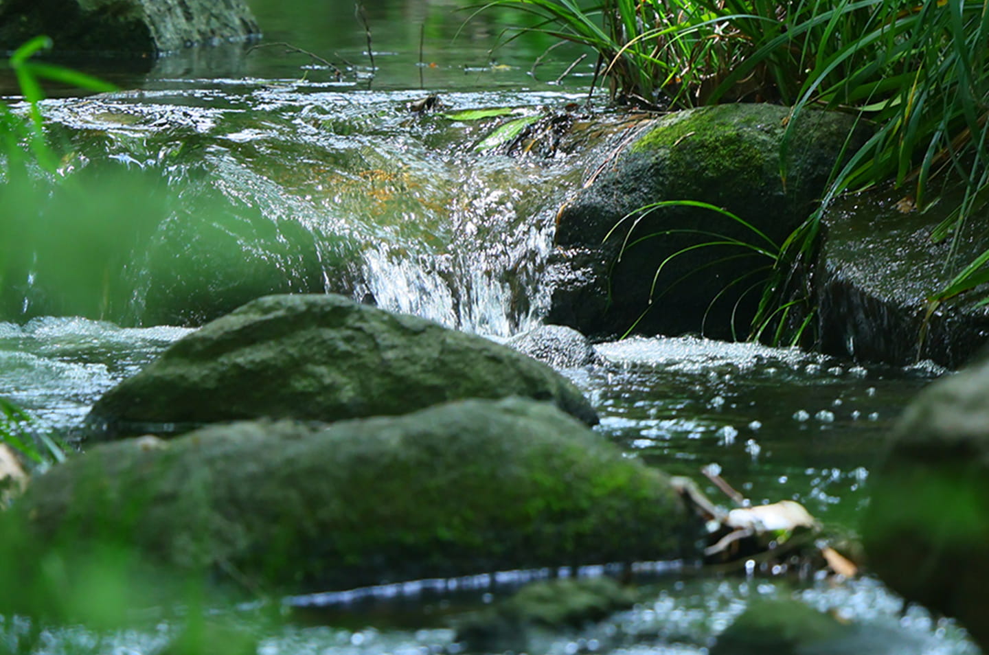 北の丸公園／約630m